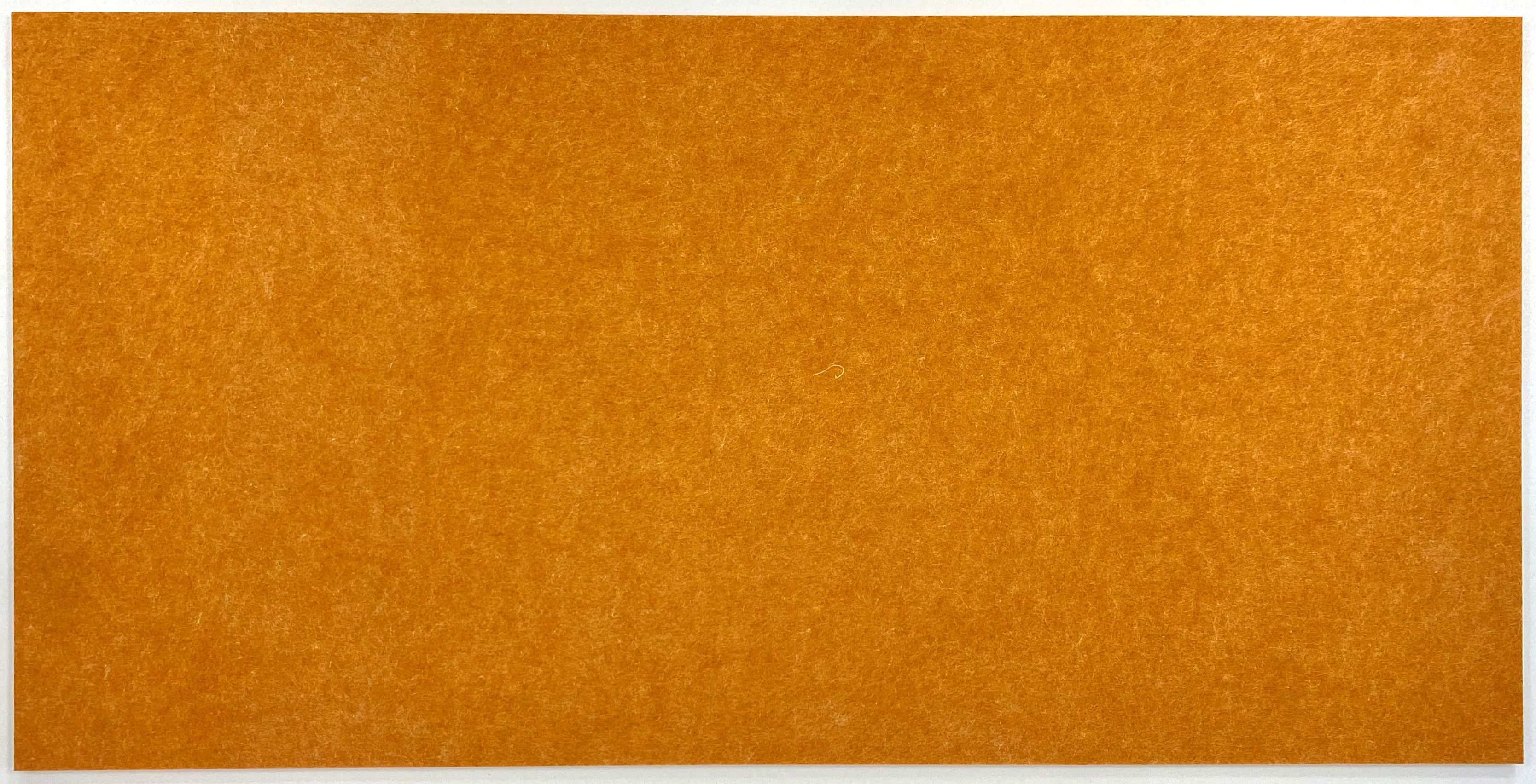 BACKSIDE PET FELT