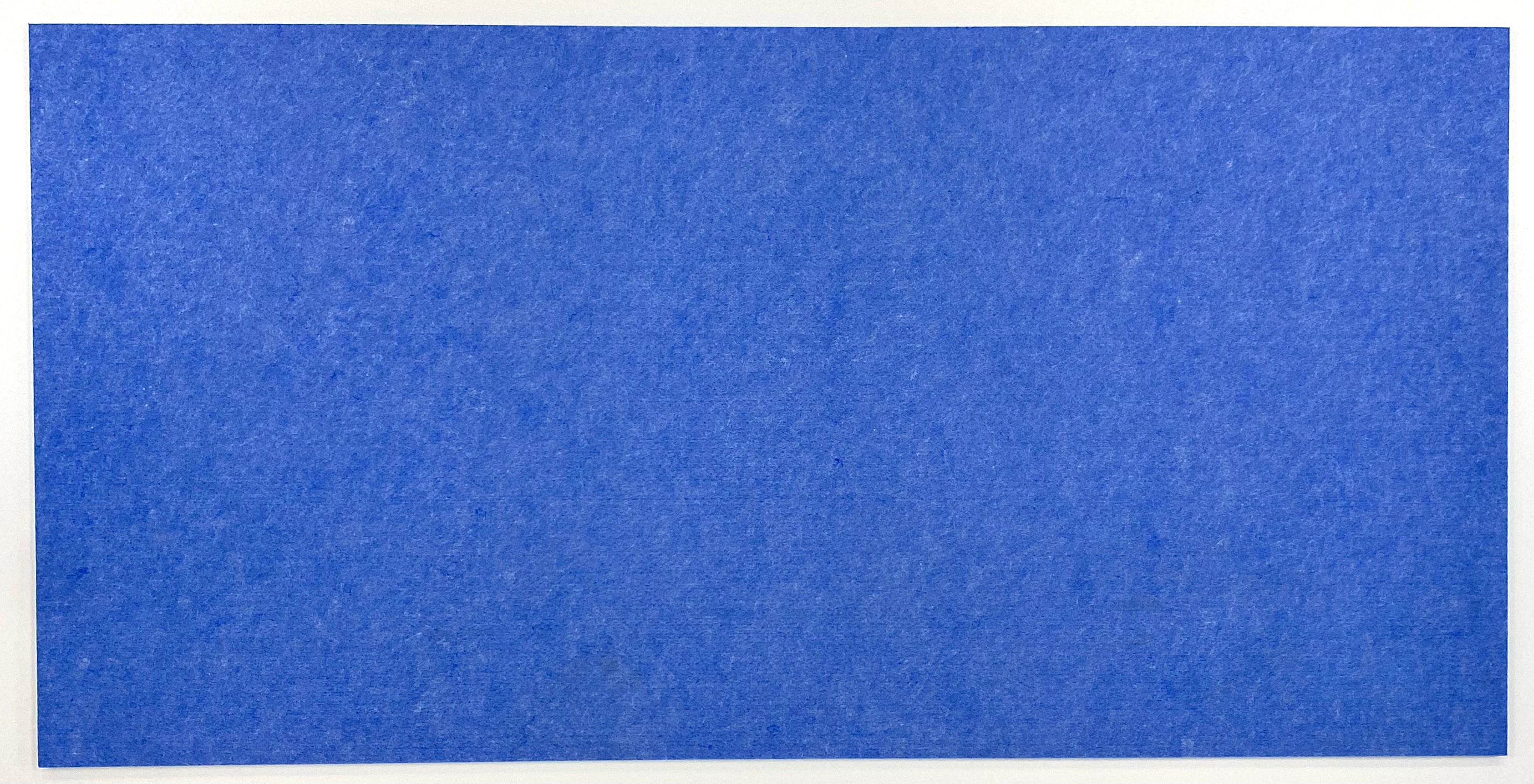 BACKSIDE PET FELT