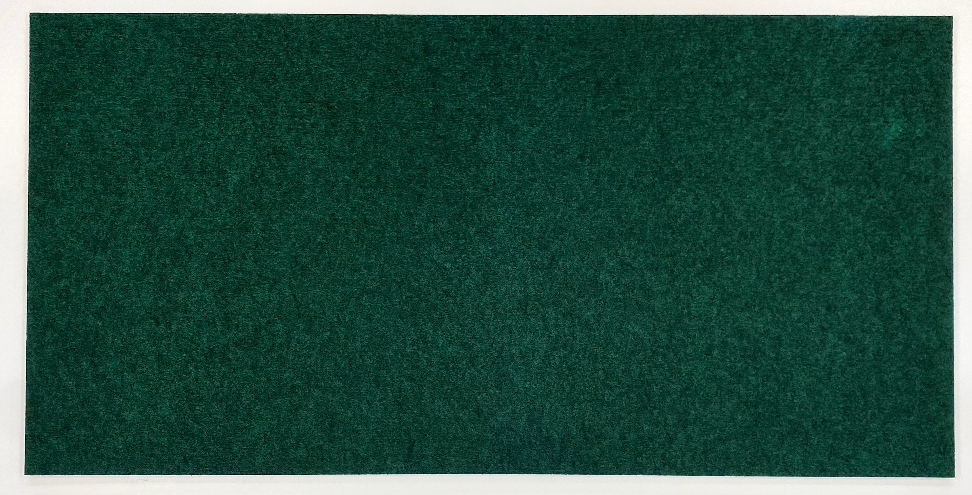 BACKSIDE PET FELT